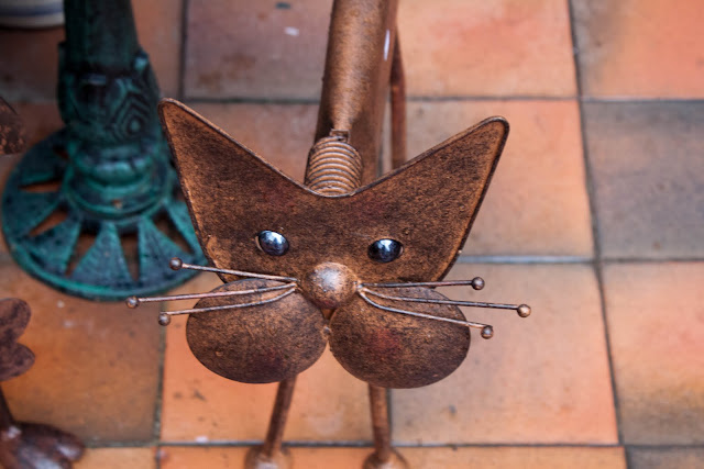 IMAGE: http://lh5.ggpht.com/_DZkpCgoYoRs/SzzKtaZ38hI/AAAAAAAADfY/uyWUMZI6Rrs/s640/IMG_4541.jpg