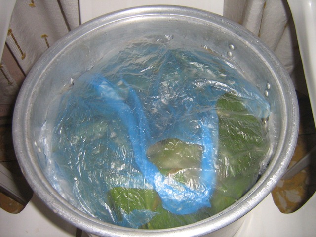 [Tápalos con bolsas de plástico y luego con un lienzo de cocina[2].jpg]