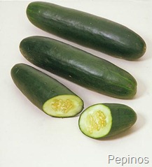 PEPINOS PEPINOS