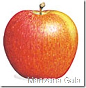 MANZANA GALA