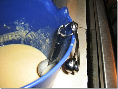 CREPAS DE POBLANO (39)