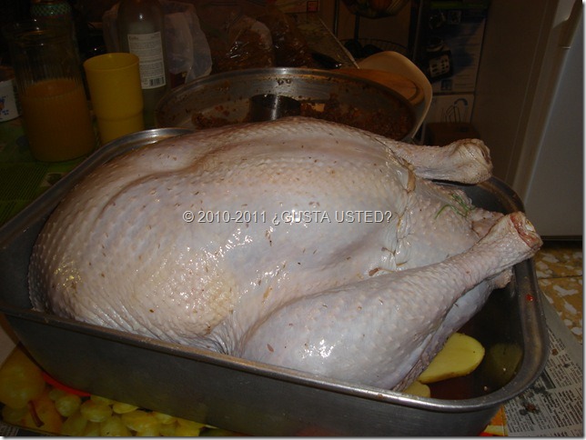 LISTO PARA EL HORNO LISTO PARA EL HORNO