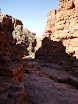 P7170368.JPG