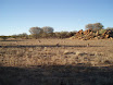 P7160330.JPG
