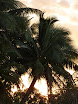 P1000834.JPG