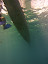 P1020933.JPG