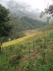 PB140054.JPG