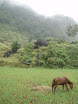 PB140069.JPG