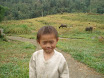 PB140074.JPG