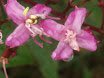 PB140082.JPG
