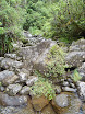 P1000424.JPG
