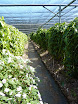P1000436.JPG