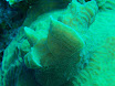 P4240105.JPG