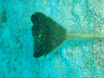 P4240160.JPG