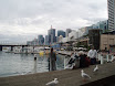 P7300116.JPG