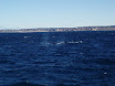 P7310019.JPG