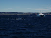 P7310024.JPG