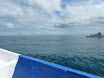 P1010176.JPG