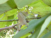 P1010059.JPG