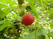P1010004.JPG