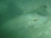 P7120176.JPG