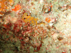 P9220162.JPG
