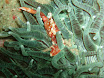 P9220175.JPG