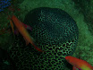 P9230190.JPG
