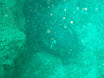 P9230201.JPG