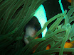 P9210110.JPG