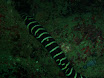 P9220137.JPG