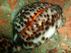 P9220140.JPG