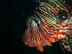 P9210067.JPG