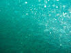 P9130005.JPG