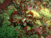 P9220141.JPG