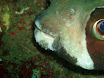 P9220144.JPG
