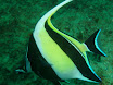 P9220151.JPG
