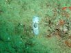 P9220148.JPG