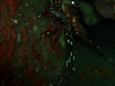 P9220125.JPG