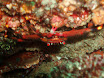 P9220127.JPG