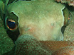 P9210119.JPG