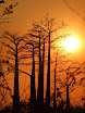 P1010900.JPG