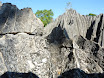 P1010614.JPG