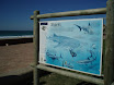 P9100272.JPG