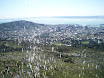 P9040030.JPG