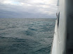 P7130121.JPG