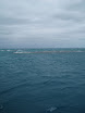 P7130150.JPG
