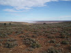 P7210155.JPG