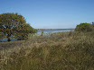 P7050006.JPG