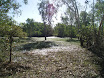 P7060051.JPG